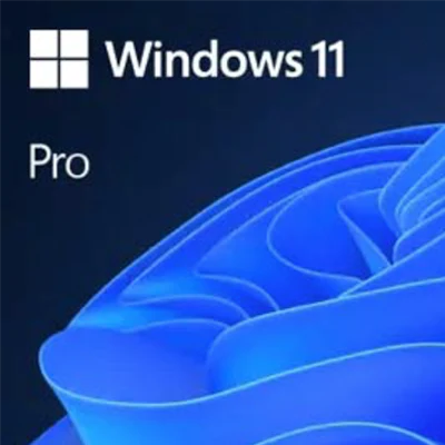 Microsoft® Windows® 11 Professional (64-Bit)